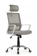 Кресло Riva Chair Mint RCH 1029HW Белый пластик/Серый